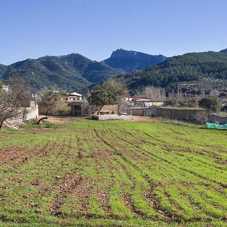 Casa Rural Chache Casto Bienservida Εξωτερικό φωτογραφία